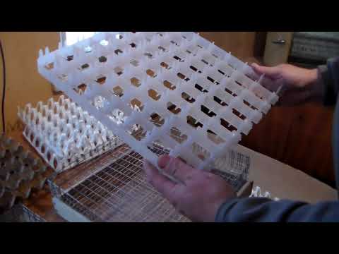Видео: Лотки и ячейки для инкубатора
