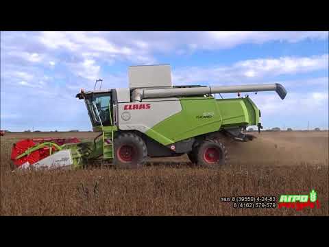 Видео: CLAAS TUCANO-430/480/570 уборка сои. ОАО "Димское". Амурская область.