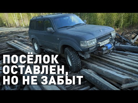 Видео: В глубь тайги на Land Cruiser 80