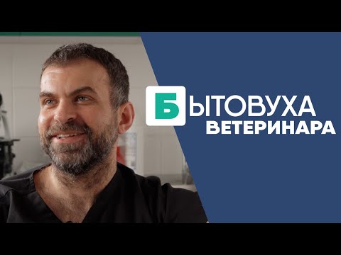 Видео: Бытовуха ветеринара: бесящие хозяева и кастрация