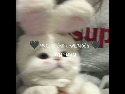 Видео: 🖤музыка для флешмоба🖤