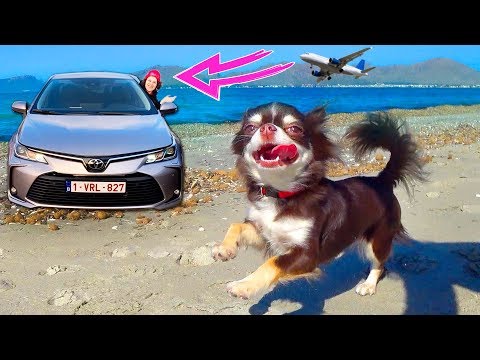 Видео: ЮМИ ВПЕРВЫЕ НА МОРЕ И В САМОЛЕТЕ! КАТАЕМСЯ В ГОРАХ НА TOYOТA COROLLA! ВСТРЕТИЛИ ЛЯЙСАН УТЯШЕВУ