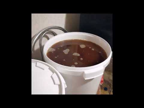 Видео: варка пива из солодового экстракта
