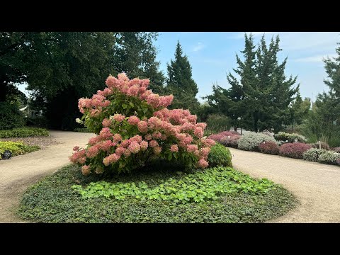 Видео: Прогулка по Парку Садов. Часть 3. Вересковые сады и ДЕКОР 🌟Park der Gärten 🌟