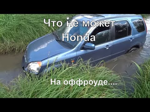 Видео: Что не может Honda Cr-V на Оффроуд. Смотреть всем