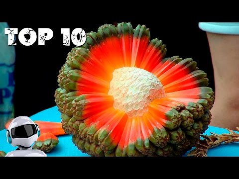 Видео: САМЫЕ НЕОБЫЧНЫЕ ЭКЗОТИЧЕСКИЕ ФРУКТЫ / ТОП 10