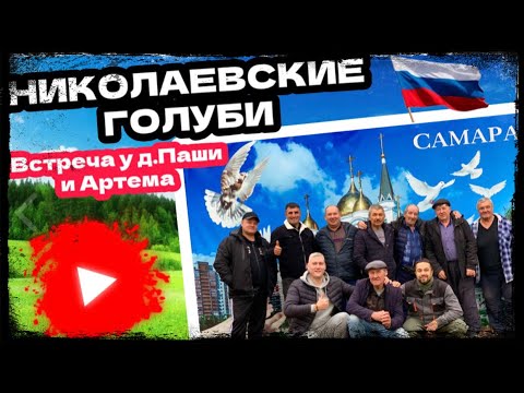 Видео: Николаевские голуби. Встреча у дядь Паши и Артема. 2025г осень 🍂 