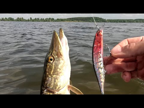 Видео: Реально РАБОЧИЕ ВОБЛЕРЫ. Ловят даже у новичков. Рыбалка на щуку с берега!