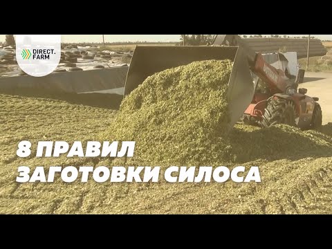 Видео: 8 правил заготовки качественного кукурузного силоса