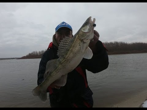 Видео: Судак Зимой на Джиг ! Спиннинг с Берега по р. Десна ! Крутанул Орла ))