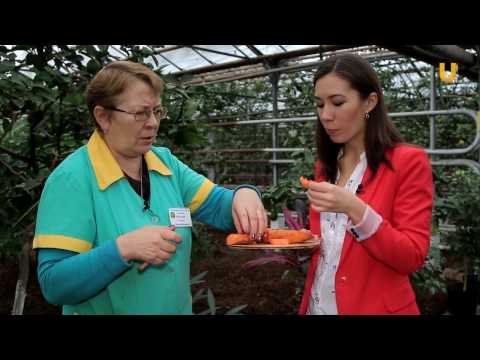 Видео: Реальная наука #12. Год экологии: ботанический сад и лимонарий