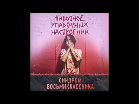 Видео: Синдром Восьмиклассника - Животное упадочных настроений