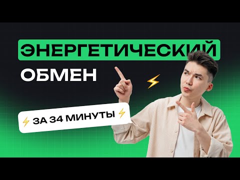 Видео: Энергетический обмен (короткометражка). Тест-Драйв, занятие №1