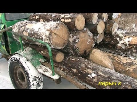 Видео: За валежником  по Лесному кодексу. ( Московская обл.)