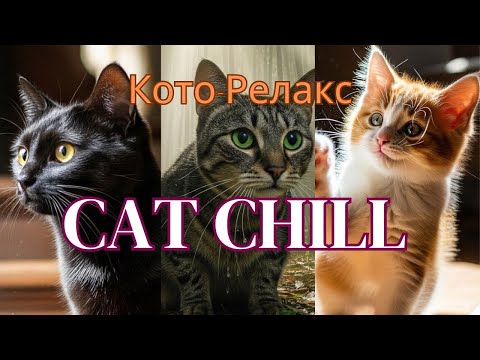 Видео: Jazz for the Soul: Cats & Kittens with Soothing Melodies/Джаз для души: Кошки и котята