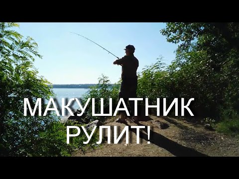 Видео: Рыбалка на Днепре. Макушатник рулит!