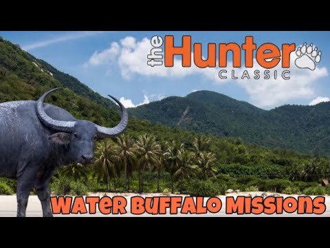 Видео: The Hunter Classic Water Buffalo Missions! Водяной Буйвол! Выполняем миссий!