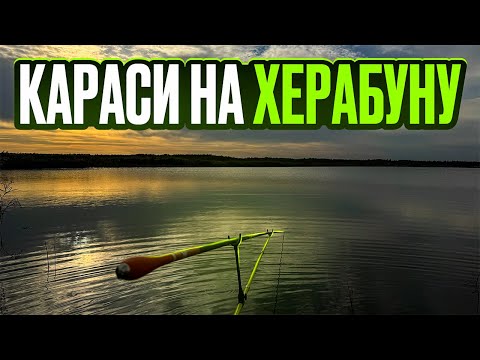 Видео: Классический поплавок или херабуна, что эффективнее по карасю?