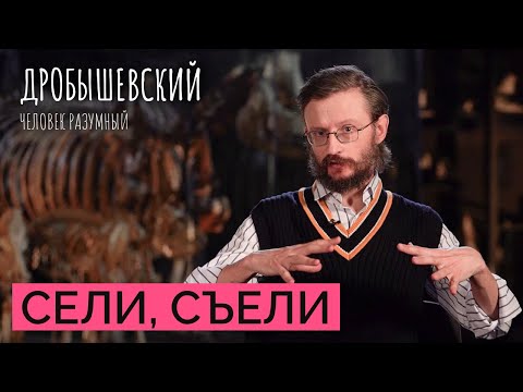Видео: Как древние люди влияли на природу (и наоборот) // Дробышевский. Человек разумный