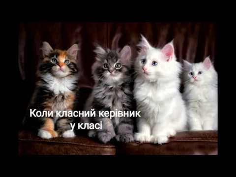 Видео: Меми про вчителя і школу