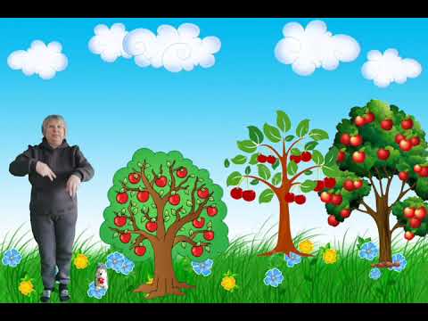 Видео: Малювання. Яблука на дереві. Ранній вік 