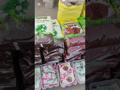 Видео: Чорсу. Оптовый гул бозори.