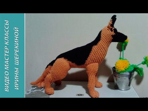 Видео: Немецкая овчарка, ч.2. German Shepherd, р.2.  Amigurumi. Crochet.  Амигуруми. Игрушки крючком.