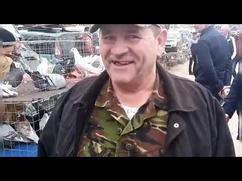 Видео: сельские голуби.2 ч птичий рынок г Кропоткин.