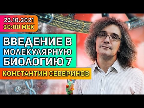 Видео: Константин Северинов. Введение в молекулярную биологию: Антитела. Откуда они все-таки берутся?