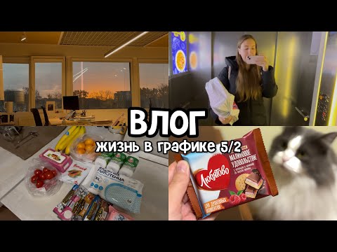 Видео: vlog: сильно испугалась за кота | эмоциональные реакции на работу | 04-07.11.2025