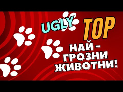 Видео: НАЙ - ГРОЗНИТЕ ЖИВОТНИ!