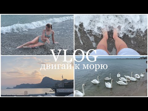Видео: ОТПУСК СО МНОЙ!/влог с моря