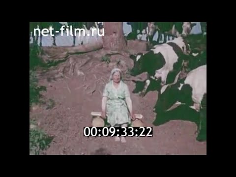 Видео: 1985г. деревня Шамара. колхоз Новый путь. Шалинский район Свердловская обл.