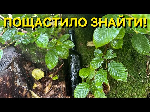 Видео: Неймовірне везіння. Почав копати і побачив літери! Пошук по ПСВ.