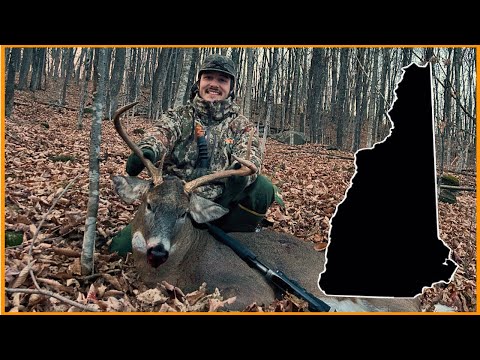 Видео: Горный бак Нью-Гэмпшира