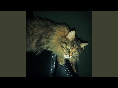 Видео: Как меня