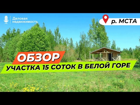 Видео: Обзор участка 15 сот | д.Белая Гора | Новгородский район | 2 линия р.Мста