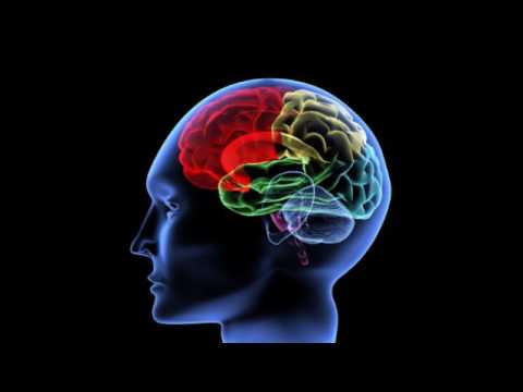 Видео: Воскрешение мозга (рассказывает Вячеслав Дубынин)