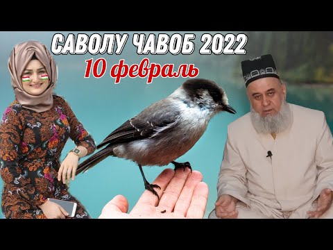 Видео: ХОЧИ МИРЗО 2022 САВОЛ ЧАВОБ 10 ФЕВРАЛЬحاجی میرزا پرسش و پاسخ