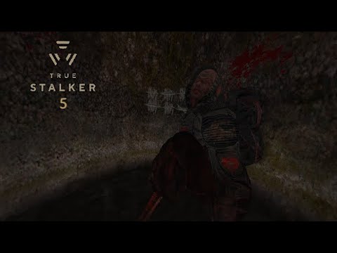 Видео: Пошла мистика... | True STALKER | #5