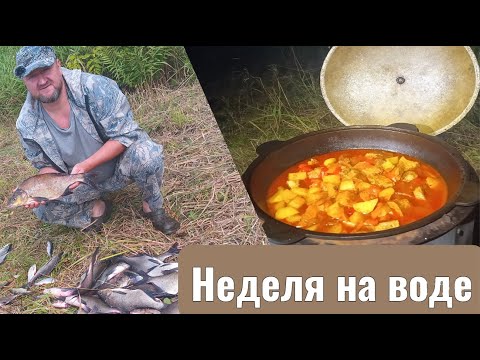 Видео: Ночной выход леща! Часть  2ая! Живем неделю дикарем  на воде!