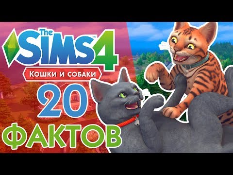 Видео: The Sims 4 Кошки и собаки - 20 Фактов!