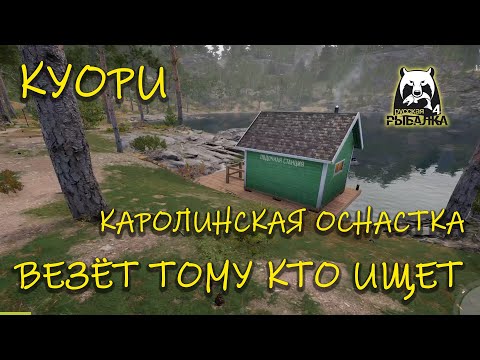 Видео: Русская рыблка 4. Куори. Каролинская оснастка. Налим.