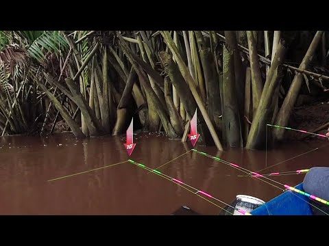 Видео: Ловля креветок - Рыбалка возле проточных источников воды.