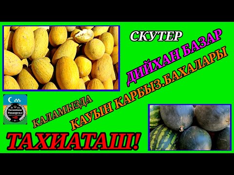 Видео: КАУЫН КАРБЫЗ БАХАЛАРЫ #тахиаташ#каракалпакистан#бахалары#цены#кауын#карбыз#муйве#оптом 