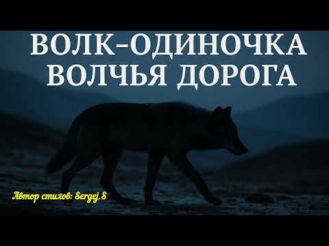 Видео: Волчья Дорога 🐺 Песня о пути одиночки