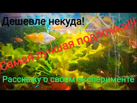 Видео: Самая лучшая подложка в аквариум!Вечный аквариум?-Аквариум для ленивых.