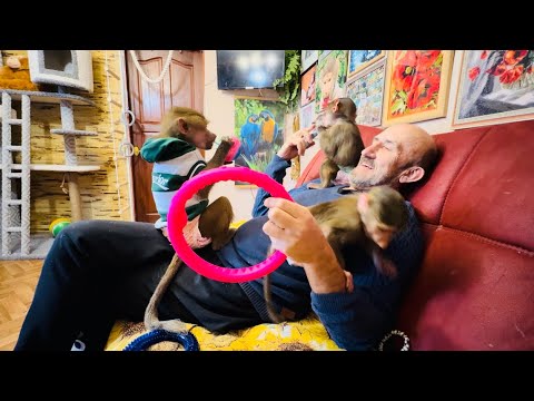 Видео: Я СТАЛА РУГАТЬ Степку и Люська БРОСИЛАСЬ на меня защищая брата!