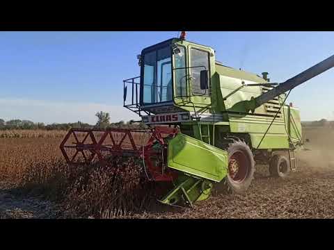 Видео: СОЯ 2021. Claas Mercator 70 на сої. Поломки комбайна та транспортування сої. Зберігання сої