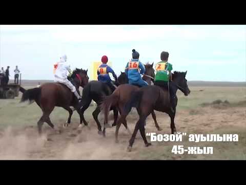 Видео: Бозой 45 жыл